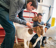 © Hill Street Studios/Stocksy - Boys and Goats at County Fair