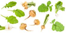 Various Greens And Roots Of Turnips Isolated