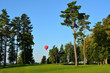 czerwony balon na niebie, drzewa
