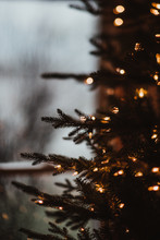 Rainy Christmas Free Stock Photo - Public Domain Pictures