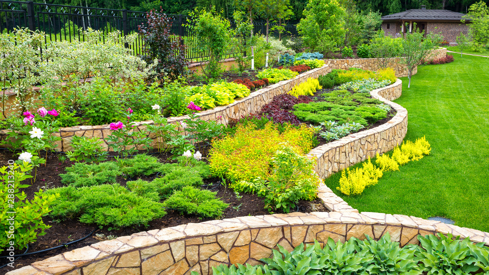 Landscaping panorama of home garden. Landscape design with plants, flowers and stone in backyard.  - obrazy, fototapety, plakaty 