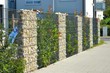 Moderner Sichtschutzzaun aus mit Naturstein gefüllten Gabionen und eingegrüntem verzinktem Stahlgitter um ein bebautes Grundstück