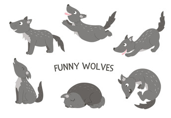 Vector set of cartoon style hand drawn flat funny wolves in different poses. Cute illustration of woodland animals for children’s design. .