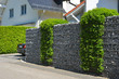 Moderner Sichtschutzzaun aus mit Naturstein gefüllten Gabionen und eingegrüntem verzinktem Stahlgitter um ein bebautes Grundstück