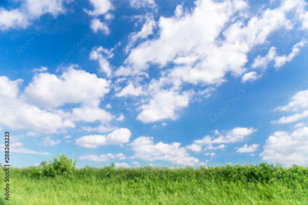 Garden Poster 青空と雲と草原の背景素材 暑中見舞い テンプレート Nikkel Art