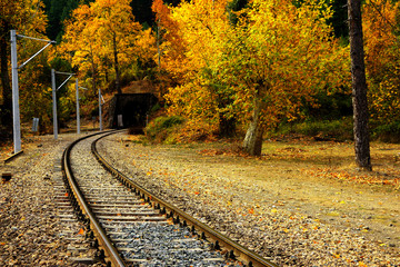 Wall Mural - Railroad tracks on mountainside landscape in between colorful autumn leaves and trees in forest of Mersin, Turkey