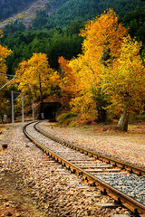 Wall Mural - Railroad tracks on mountainside landscape in between colorful autumn leaves and trees in forest of Mersin, Turkey