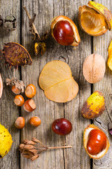 Canvas Print - fallen autumn growths and leaves on worn wooden