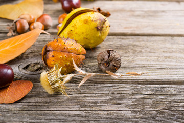 Canvas Print - fallen autumn growths and leaves on worn wooden