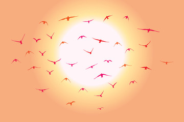 Wall Mural - silhouette of a flock of flying birds
