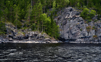 Wall Mural - Green rocky shore with pine trees. Background for travel materials