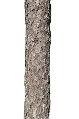 Wall Mural - pine tree trunk isolated on white