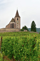 Wall Mural - Frankreich - Elsass - Hunawihr - Wehrkirche