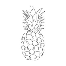 Pineapple Tropical Fruit In Continuous Line Art Drawing Style. Black Line Sketch On White Background. Vector Illustration