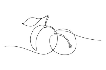 Sticker - Plum fruits in continuous line art drawing style. Minimalist black line sketch on white background. Vector illustration