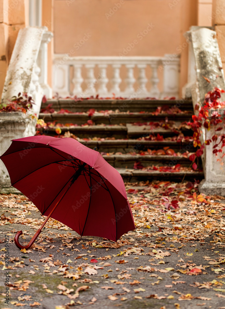 Autumn leaf fall. Red and yellow leaves on the destroyed old stone steps burgundy (marsala color) umbrella. - obrazy, fototapety, plakaty 