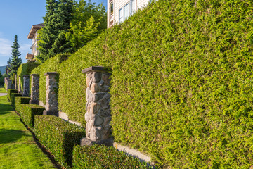 Wall Mural - Fence built from trees and stones. Outdoor landscape. Security and privacy concept. Vancouver. Canada.