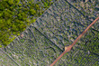 Aerial image showing typical vineyard culture (viticulture) landscape of Pico Island at Criação Velha and Candelária, Madalena.