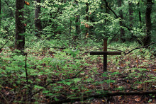 A Small Grave With A Wooden Cross. Pet Cemetery In The Forest