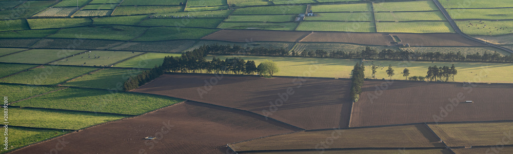 Aerial view on abstract pattern of fields at Serra do Cume and Serra da Ribeirinha before or after sunset or sunrise with low light shadows over the walled plots of land, Terceira - obrazy, fototapety, plakaty 