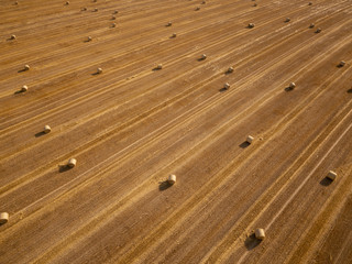 Wall Mural - Round dried haystacks in the field