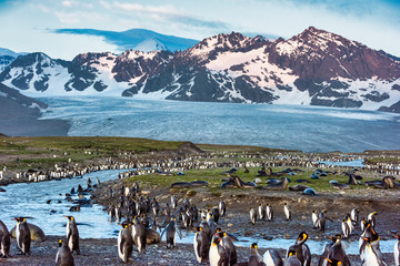 cook glacier in 2014