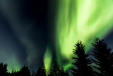 Fototapeta Tęcza - Amazing Northern Lights Display at the onset of Fall just outside Fairbanks, Alaska
