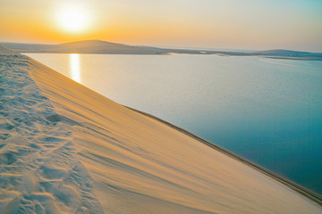 Canvas Print - Desert at sunrise.