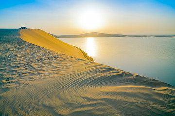 Wall Mural - Desert at sunrise.