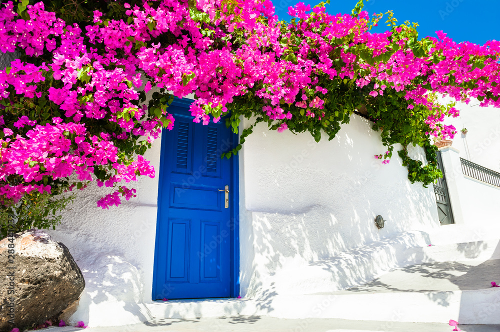White cycladic architecture with blue door and pink flowers of Bougainvillea on Santorini island, Greece. - obrazy, fototapety, plakaty 