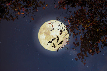 Wall Mural - beautiful autumn fantasy - maple tree in fall season and full moon with star. retro style with vinta