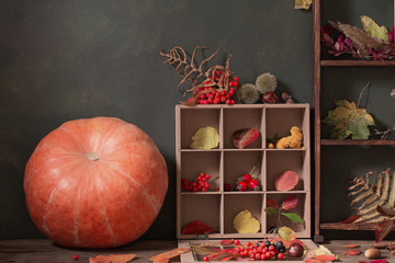 Poster - autumn background with leaves, pumpkin and berries