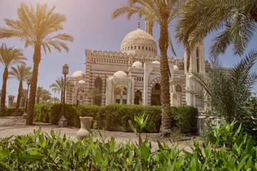 A mosque among palm trees