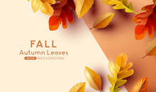 Autumn Fall Background Design