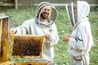 Two young beekepers in protective uniform working on a small apiary farm, getting honeycomb from the wooden beehive