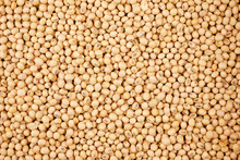 Soybean Beans Background, Seeds Food Raw Material,delicious Dishes Seed Bean Agricultural Product