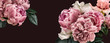 canvas print picture - Floral banner, flower cover or header with vintage bouquets. Pink peonies, white roses isolated on black background.