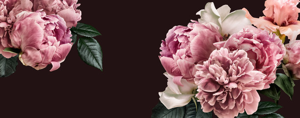 Wall Mural - Floral banner, flower cover or header with vintage bouquets. Pink peonies, white roses isolated on black background.