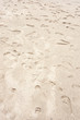 Foot prints on the shore sand