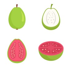 Guava Icons Set. Flat Set Of Guava Vector Icons For Web Design