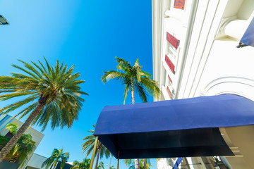 Wall Mural - Elegant buildings and palm trees in Rodeo Drive