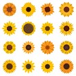 Sunflower icons set. Flat set of sunflower vector icons for web design