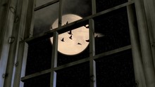 Birds Flying Past A Full Moon Outside A Window Low Angle.mov