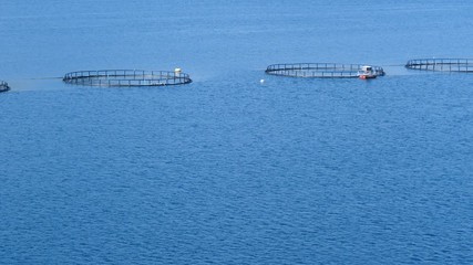 Sticker - Salmon fishing fish farm on the sea in Lofoten islands Norway