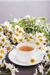 Wall Mural - Cup of chamomile herbal tea with flowers