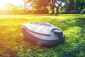 Automatic lawnmower in modern garden in sunny day