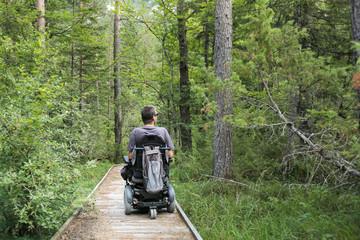 Wall Mural - Happy man on wheelchair in nature. Exploring forest wilderness on an accessible dirt path.