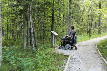 Wall Mural - Happy man on wheelchair in nature. Exploring forest wilderness on an accessible dirt path.