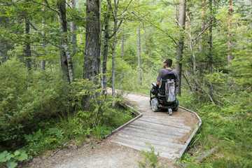 Wall Mural - Happy man on wheelchair in nature. Exploring forest wilderness on an accessible dirt path.