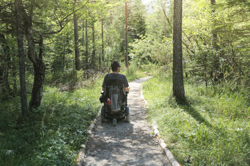 Wall Mural - Happy man on wheelchair in nature. Exploring forest wilderness on an accessible dirt path.